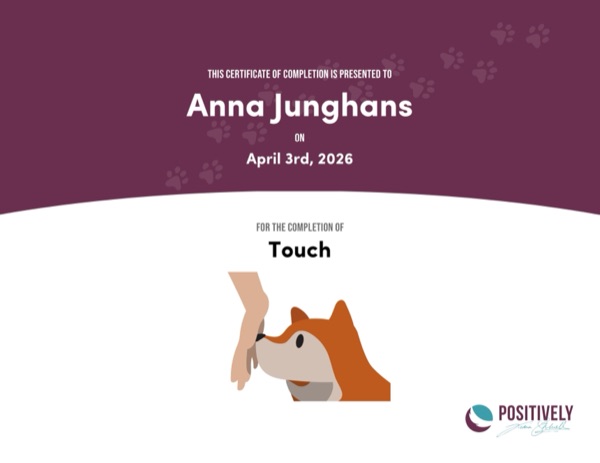 Touch certificate — Positively Academy